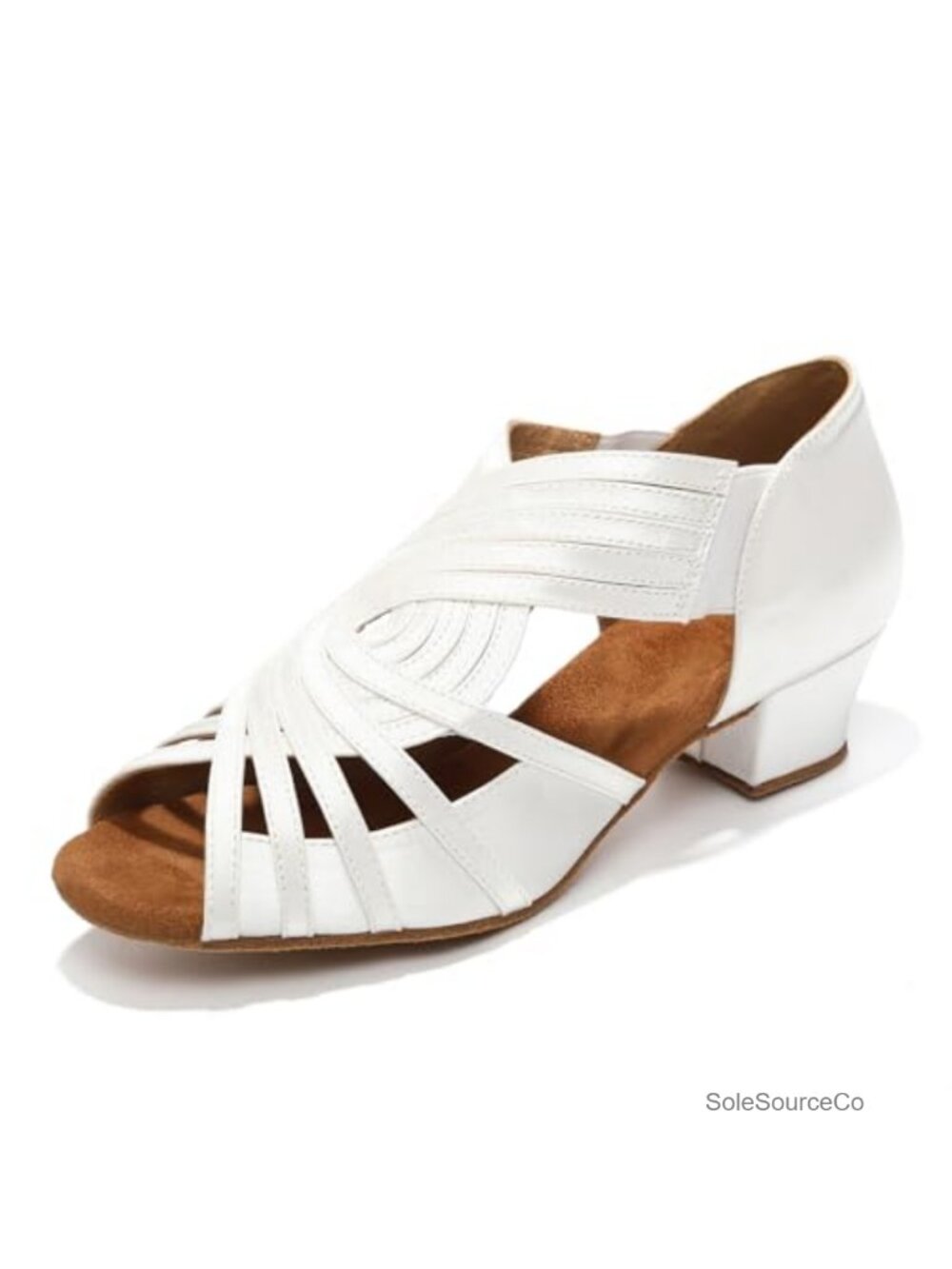 Women's Satin Latin Ballroom Dance Shoes Low Heel Suede Sole
